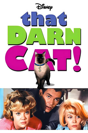 That Darn Cat!