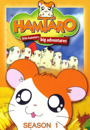 Panda's Ham-Ham Fun Park!