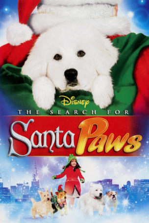 Search for Santa Paws