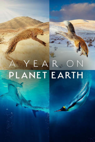 Year on My Planet Earth